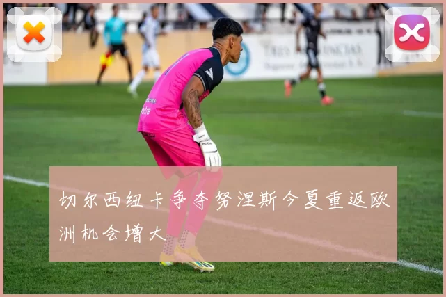 切尔西纽卡争夺努涅斯今夏重返欧洲机会增大
